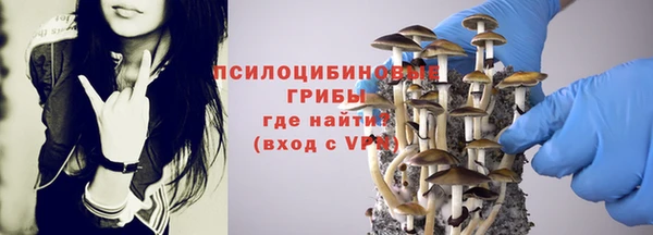 мескалин Горно-Алтайск